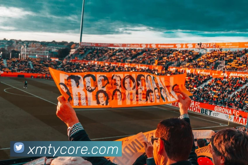 多媒体互动体验